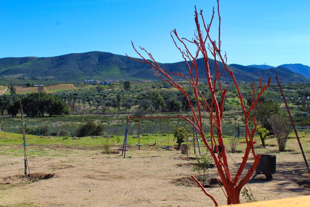Rancho Matalote En บาเย เด กัวลาลูเป ภายนอก รูปภาพ